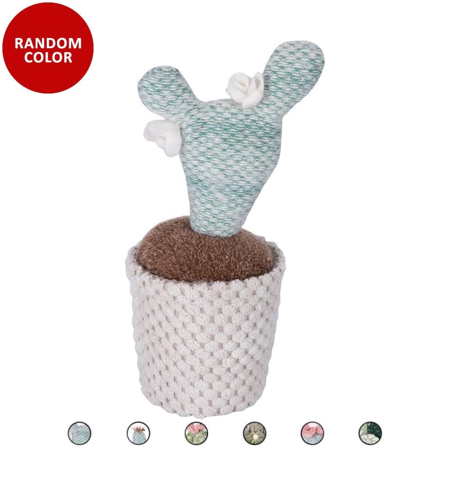 Lot de 6 cactus en tissu - Assortis