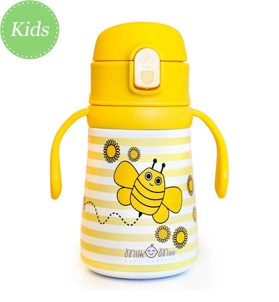 Bouteille d'eau en acier Ari Viz Viz - 360 ml