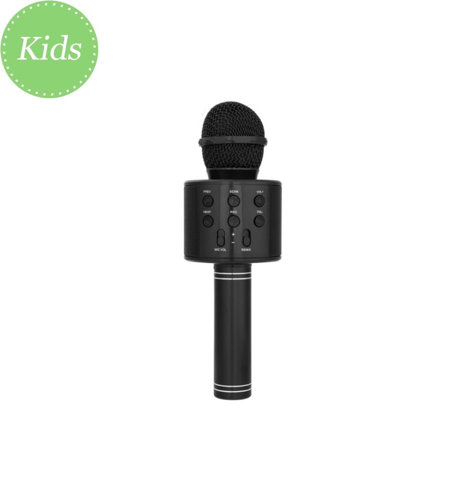 Bluetooth-Karaoke-Mikrofon mit Aufnahmefunktion und Micro-SD-Karte - Schwarz
