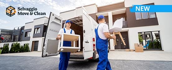 Professioneller Zügelservice