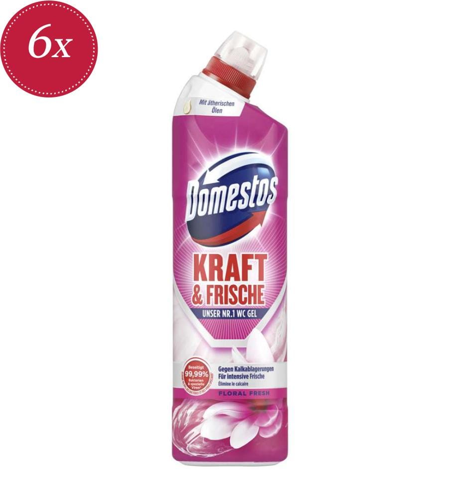 Aktiv Fresh Floral Fresh WC Gel - 6x 750ml