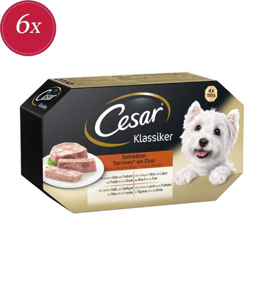 6x Cesar Classique in Terrinen - 4x 150 g