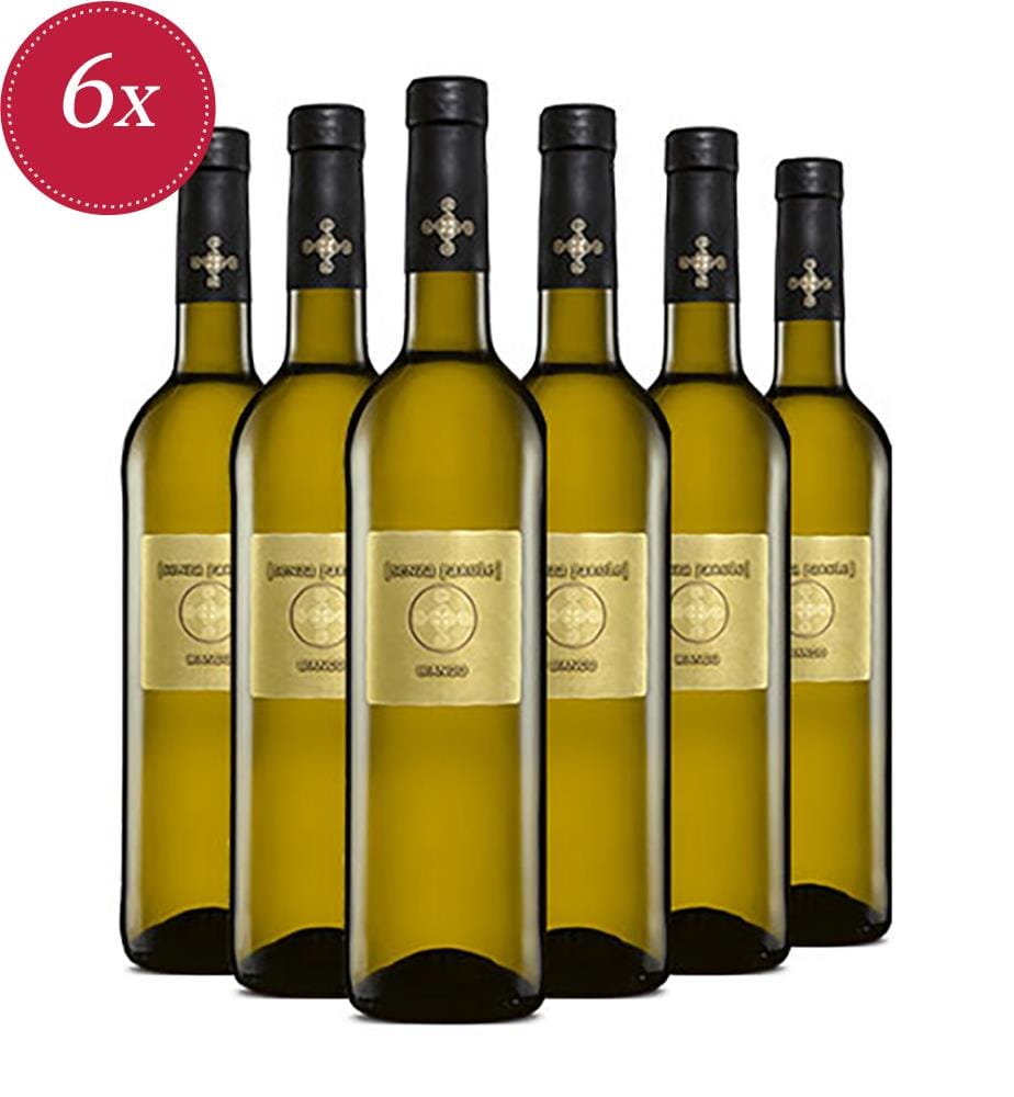 6x Vino Bianco d'Italia 2024 - 75 cl