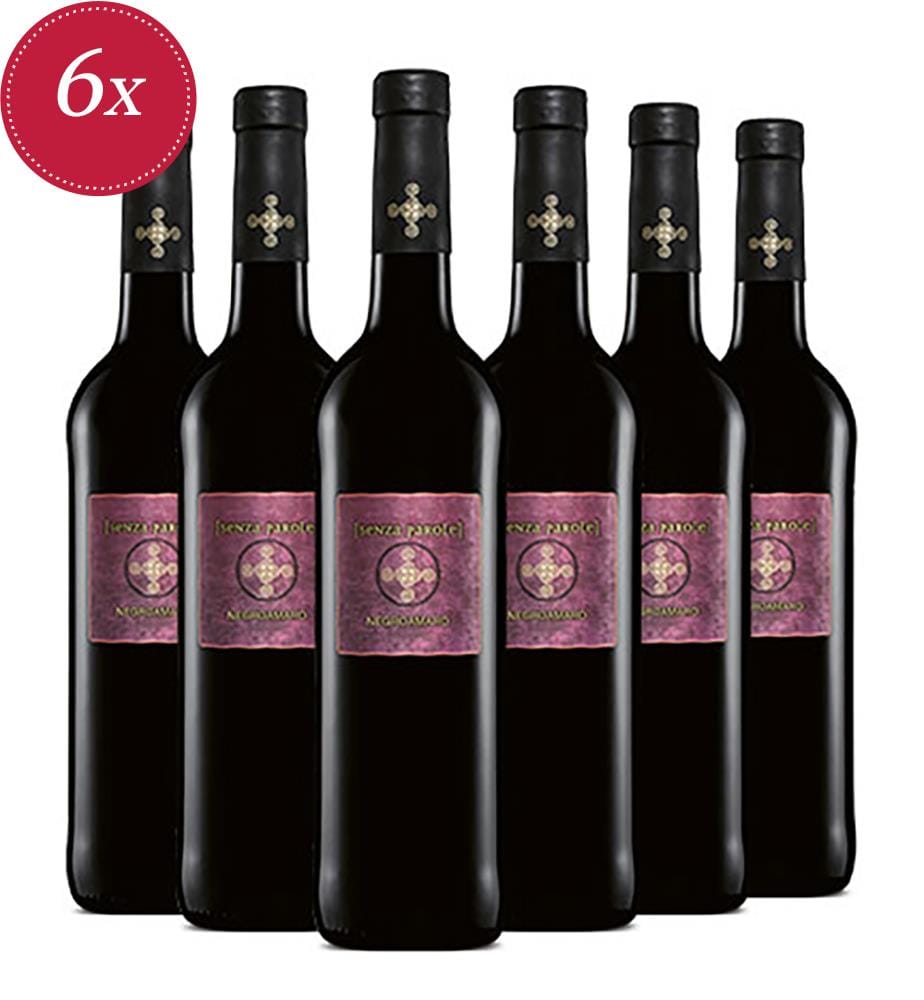 6x Negroamaro Puglia IGP 2023 - 75 cl