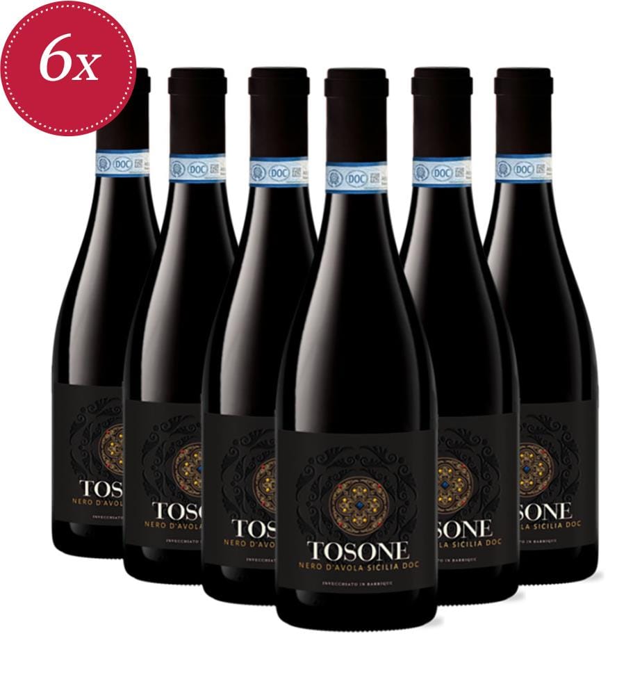 6x Nero d`Avola Sicilia DOC 2024 - 75 cl