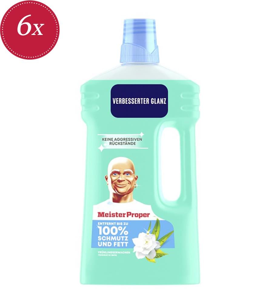 6 x Nettoyant Multi-Usages Spring Awakening – 1 L