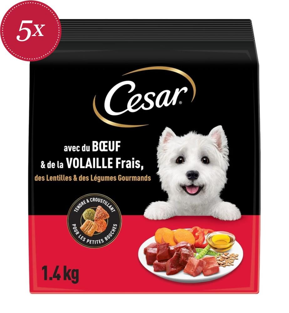 5x Cesar Trockenfutter-Mischpackung „Chasseurs“ mit Rindfleisch - 1400 g