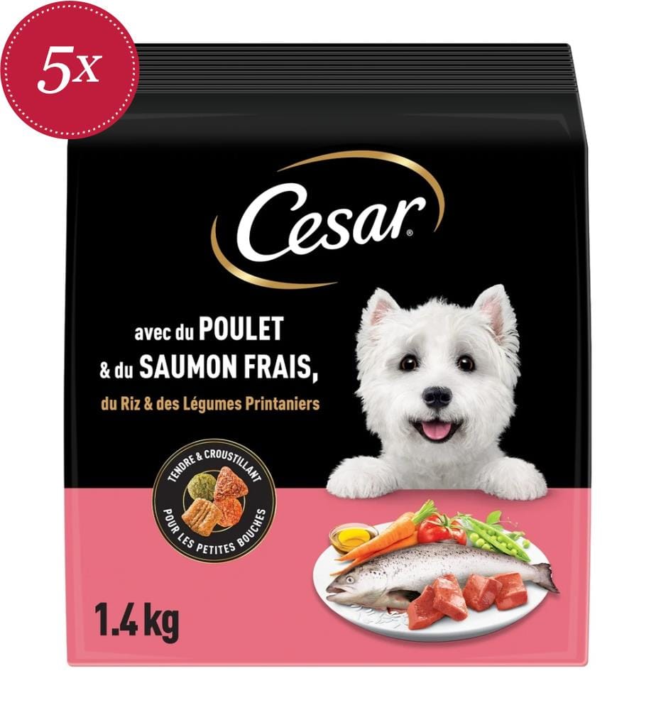 5x Cesar Festin Mittelmeergericht (Trockenfutter) mit Huhn - 1400 g