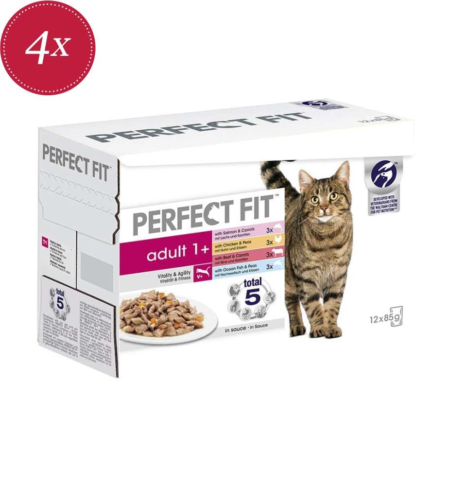 4x Perfect Fit en gelée Adult - 12x 85g