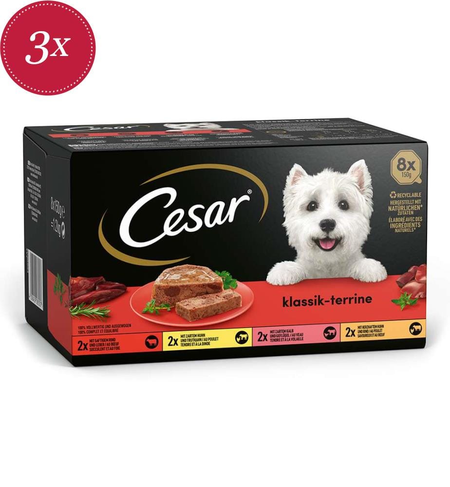 3x Terrine „Classique“ in Schalen - 8 x 150 g