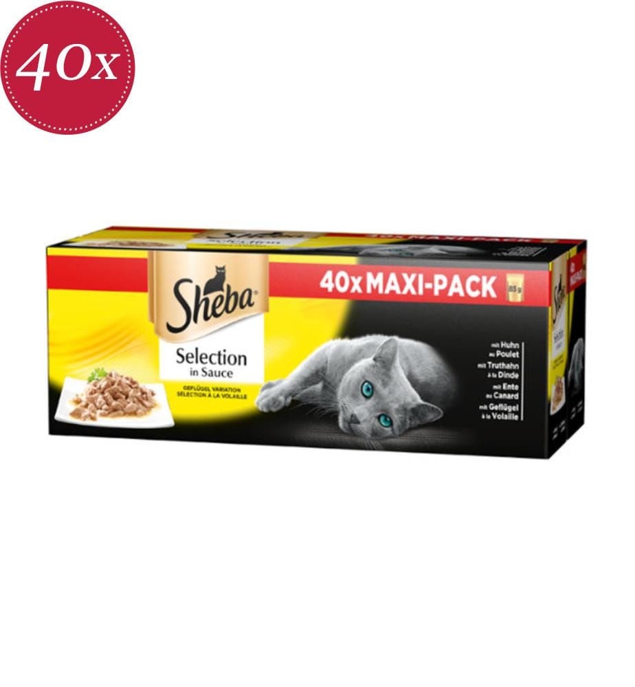 40x Sheba Selection Maxi Pack with Chicken Sauce Variation - 85 g