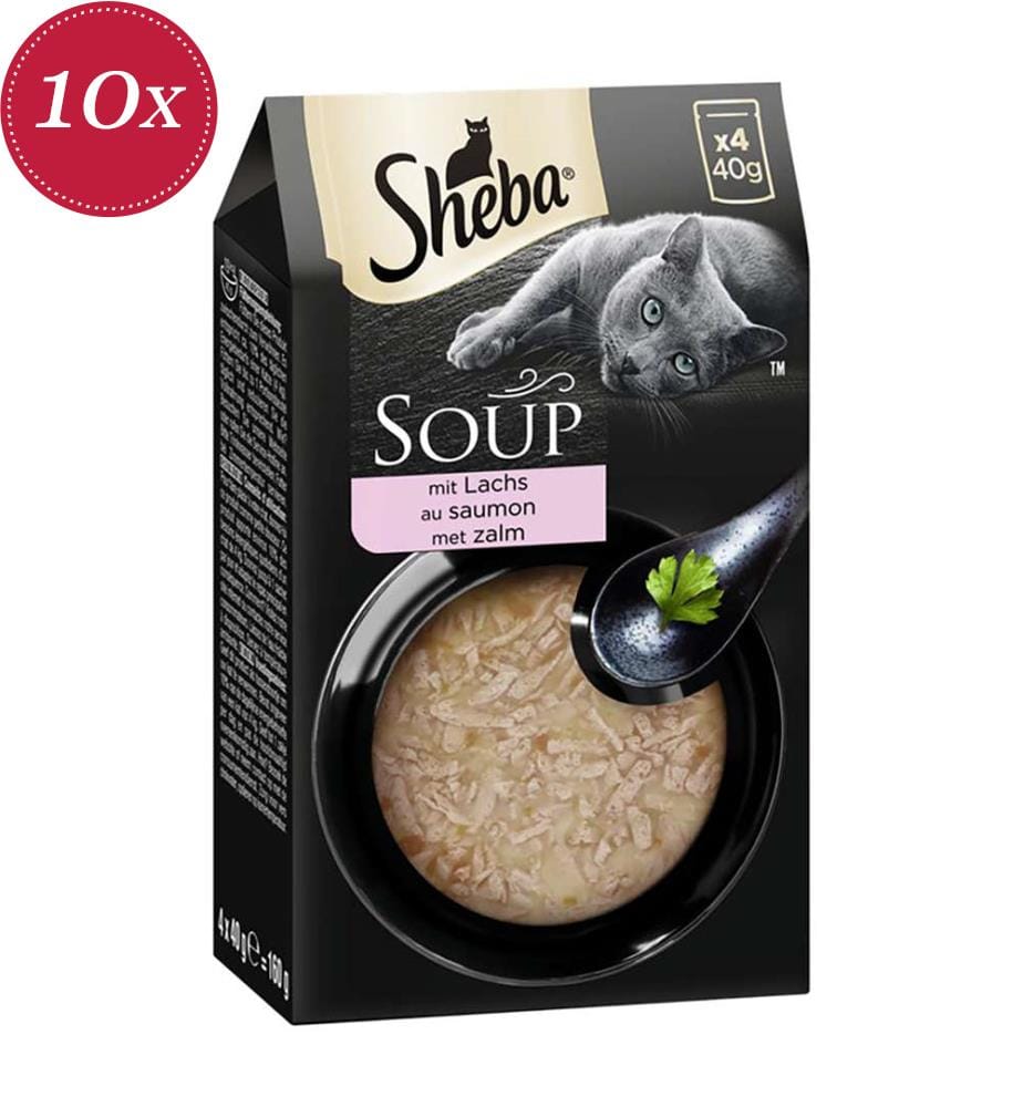 10-pack of salmon soup pouches - 4 x 40 g