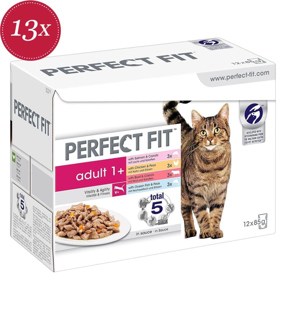 13x – Katzenfutter-Multipack in Beuteln „Indoor“ mit Huhn & Gemüse, Lachs & Möhren in Sosse, 4x 85 g","detected_source_language":"FR