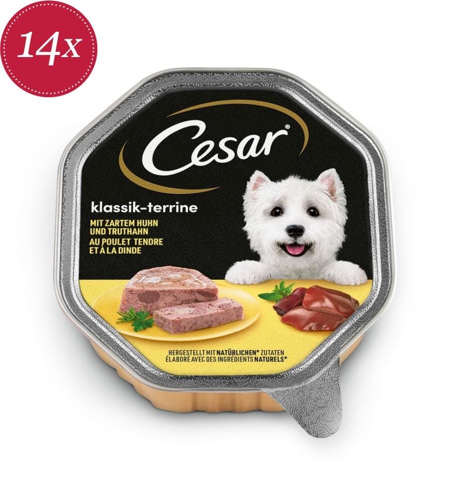 14x Klassische Terrine mit Huhn und Pute, 150 g