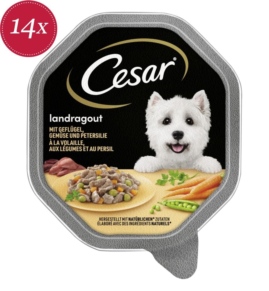 14x Schale „Ländlicher Eintopf mit Geflügel“ 150 g