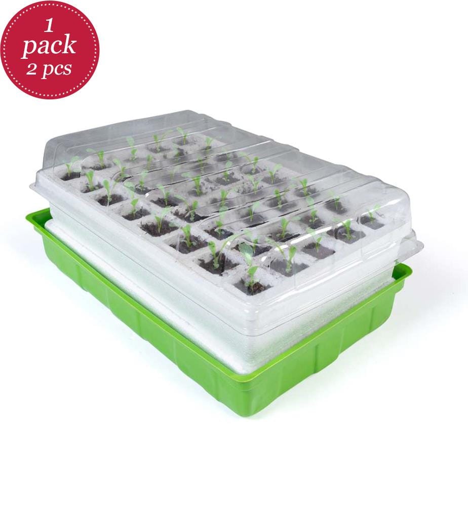 Germination Set 40 Cups - Set of 2 - Green and W… | DeinDeal