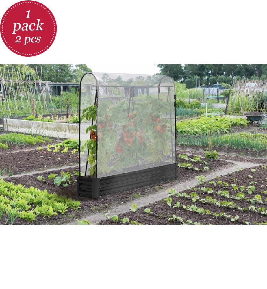 Set of 2 Metal Tomato Greenhouses - Black