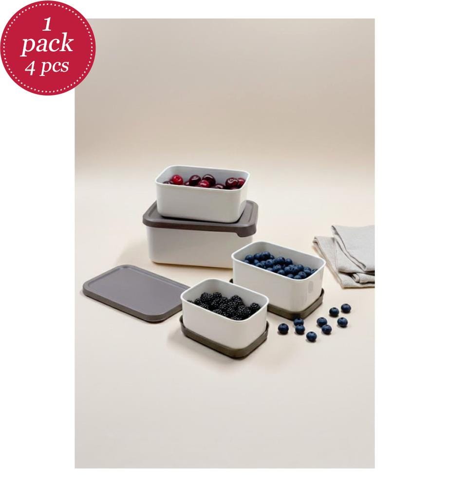 Aufbewahrungsboxen-Set (4-teilig) – Beige
