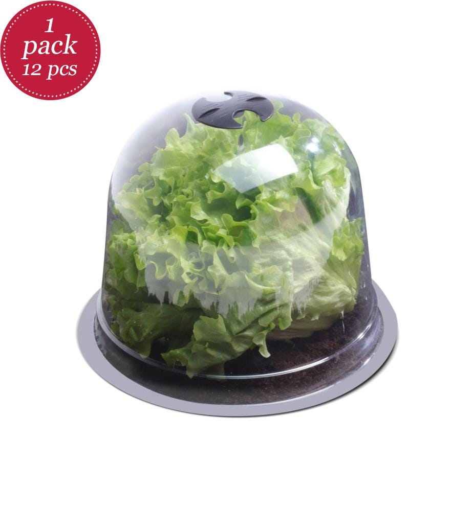 12er-Set Salatglocken - Schwarz und Transparent