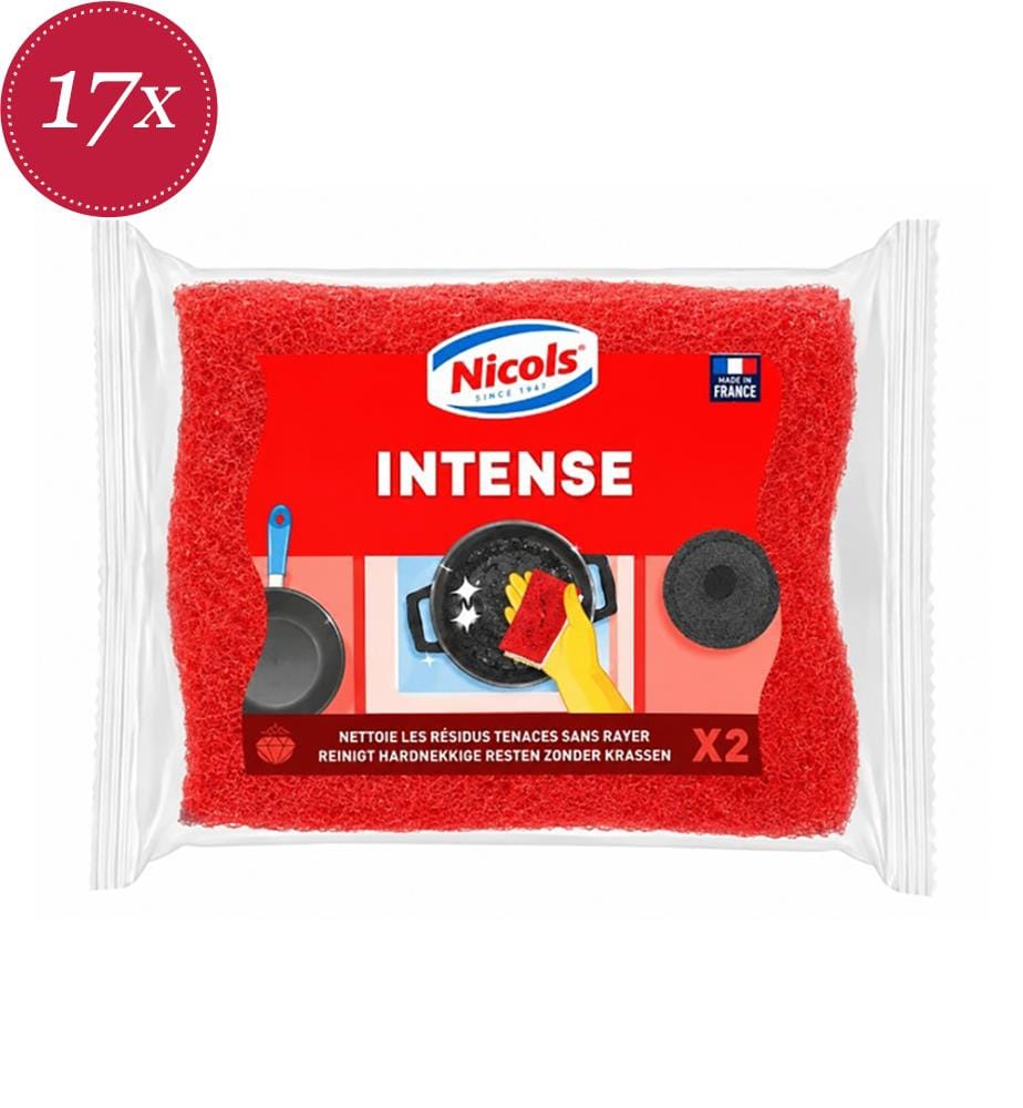 Nicols Spülschwamm, 2er-Pack, Intense","detected_source_language":"FR