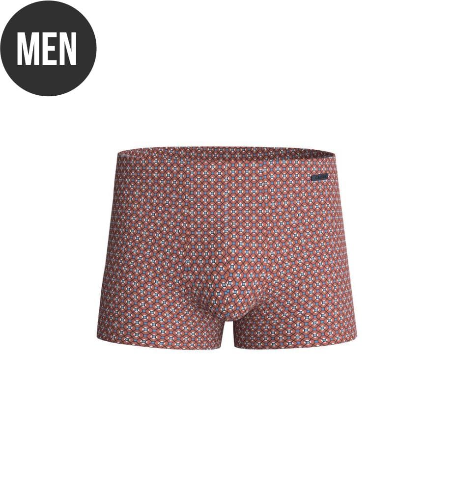 Boxer - Redwood