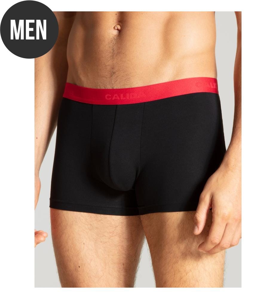 Boxer - Policromo