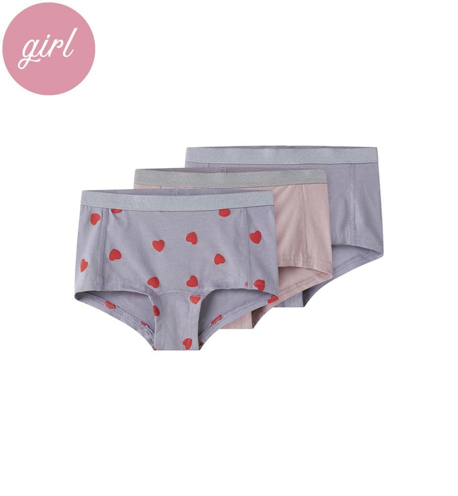 Lot de 3 Culottes - Gris lavande avec lilas souvenir et gris lavande