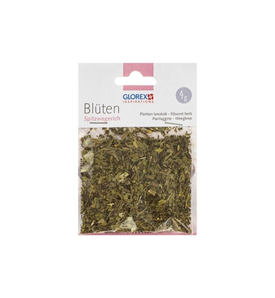 GLOREX - Fleurs Plantain lancéolé 4g
