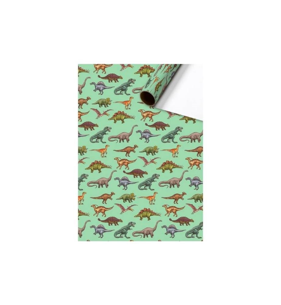 STEWO - Papier cadeau Saurus 1 Pièce/s, Vert