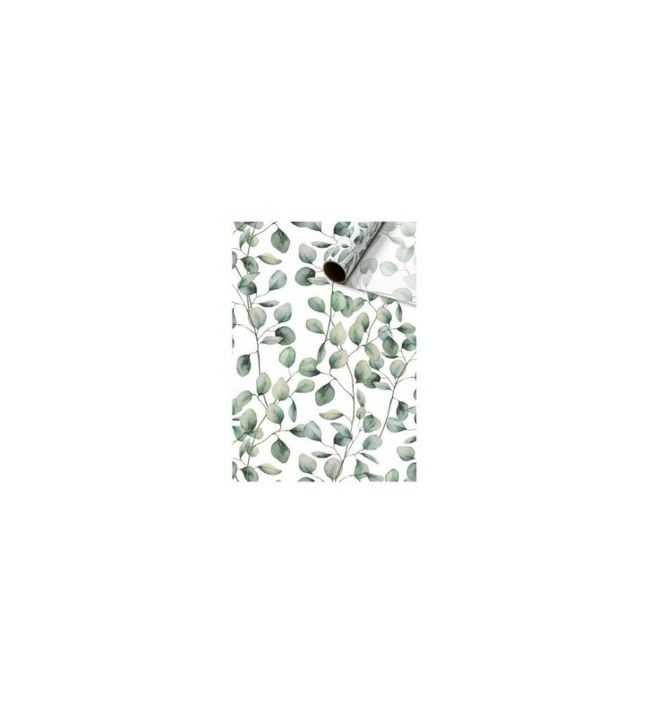 STEWO - Papier cadeau Esta vert, 50 cm x 5 m