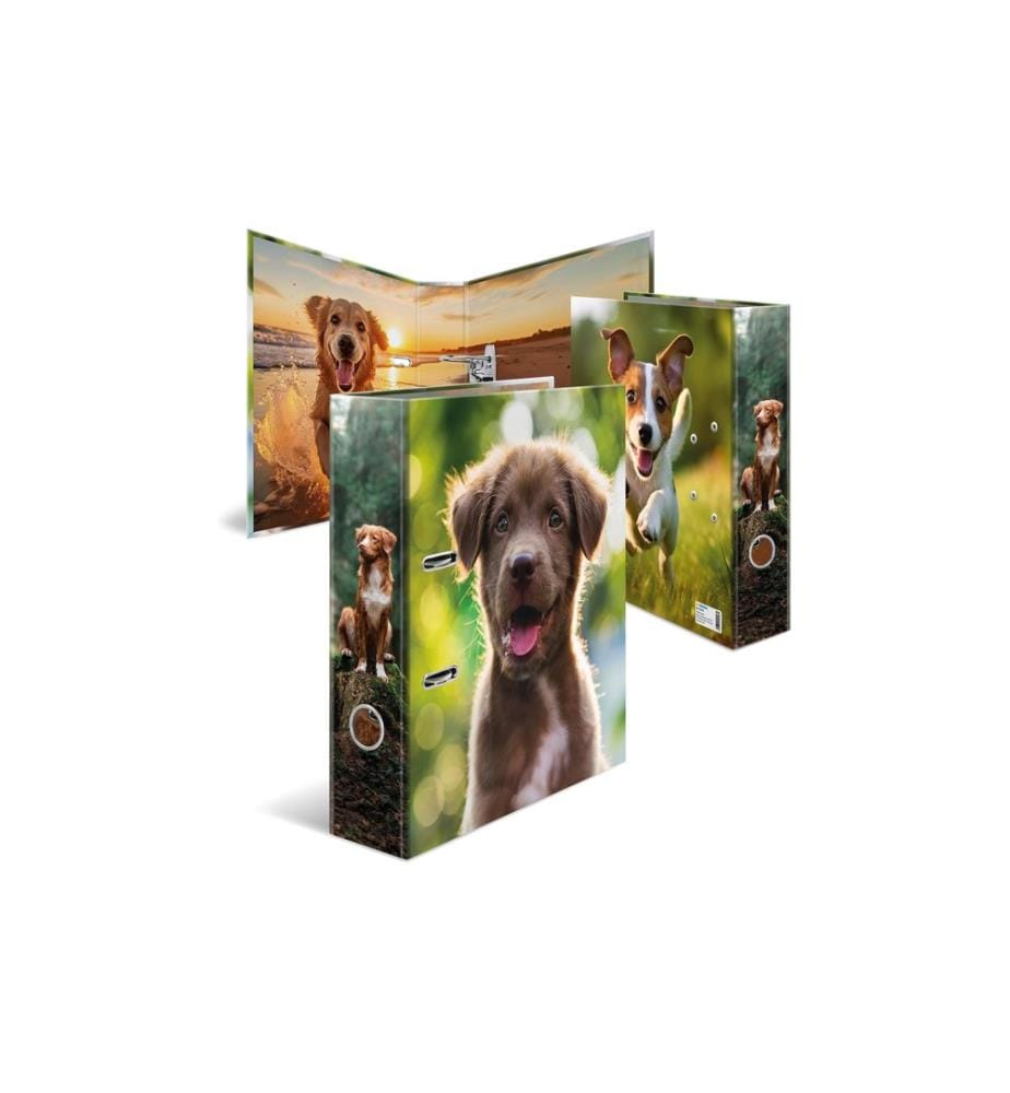 HERMA - Motif classeur A4 Chien 1 pièce
