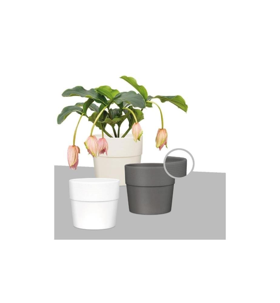 SCHEURICH - Pot de fleur Groove 38 cm, blanc