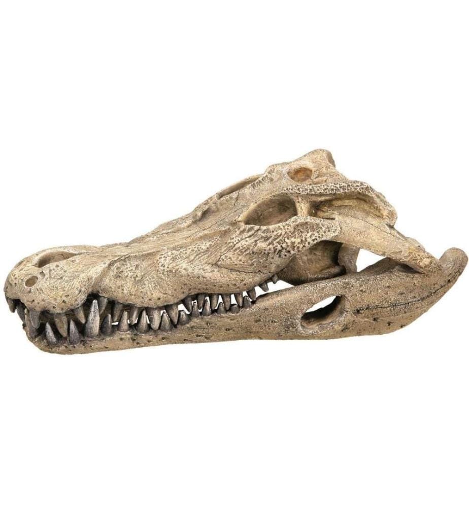NOBBY - Aqua Ornaments Crâne de crocodile, 26 x 14 x 9 cm