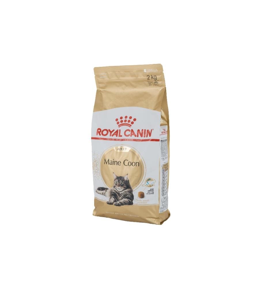 ROYAL CANIN - Alimentation sèche Maine Coon Adult, 2 kg