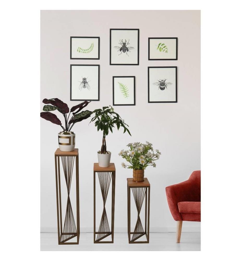 Set de tables d'appoint, Gold, Walnut, Beech Wood, Metal Frame