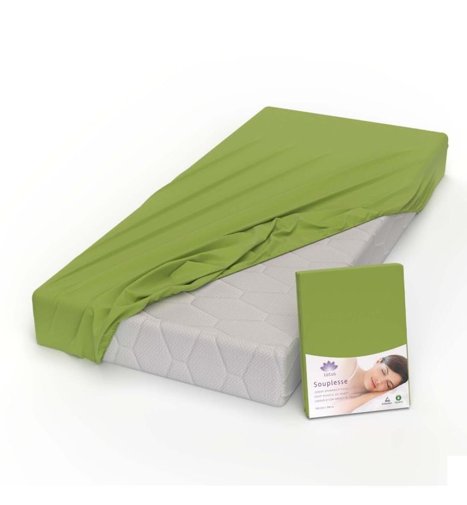 LOTUS - Drap-housse jersey Souplesse Kiwi - 200 x 220 cm