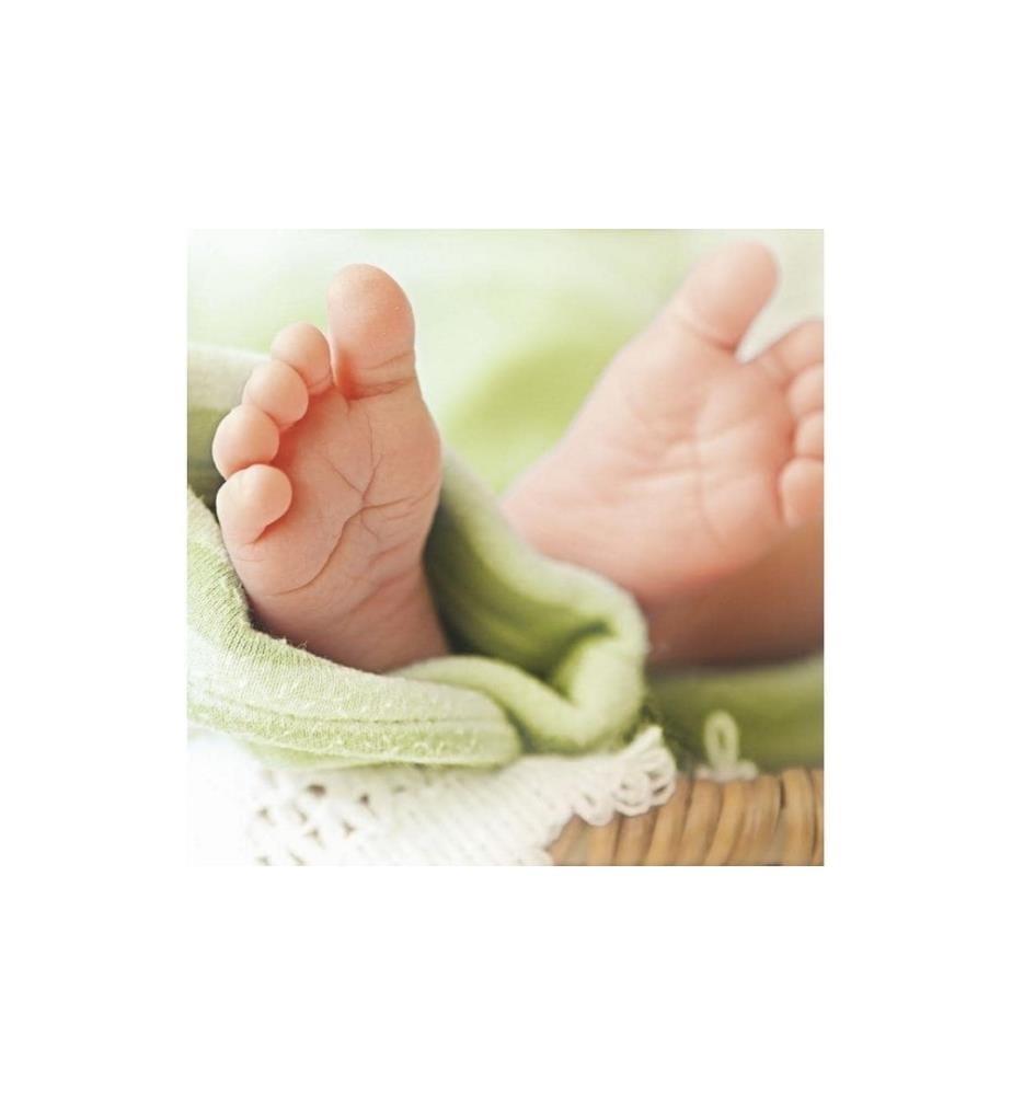 KNORR PRANDELL - Cire décorative Little feet 1 pièce