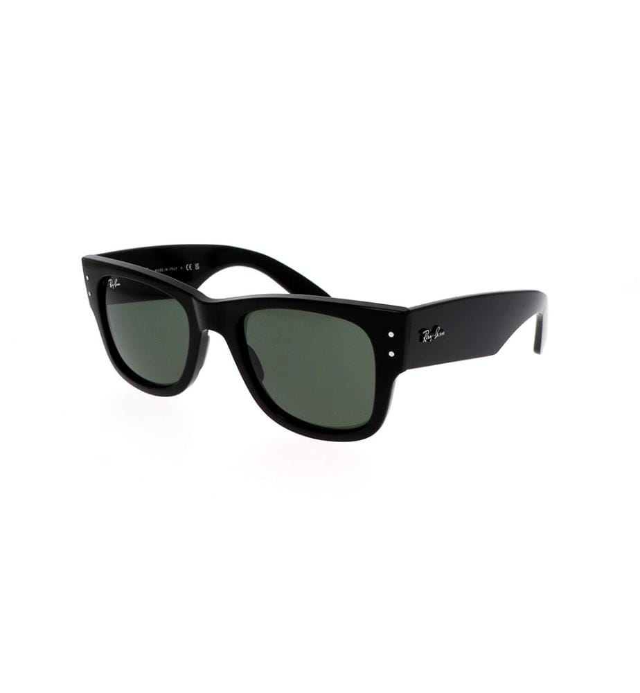 Lunettes de Soleil Mega Wayfarer - Poli Noir et Vert