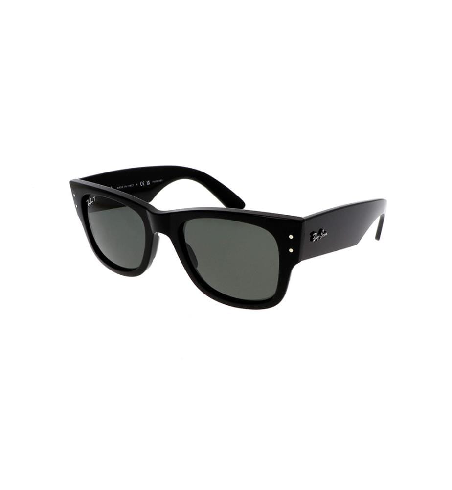 Lunettes de Soleil Mega Wayfarer - Noir et Vert