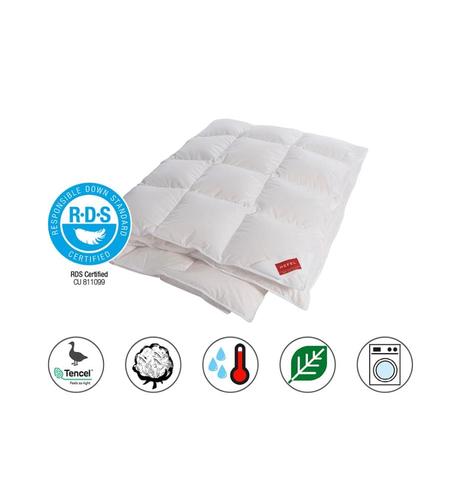 Duvet Plumes Yverdon 4 Saisons - 160 x 240 cm