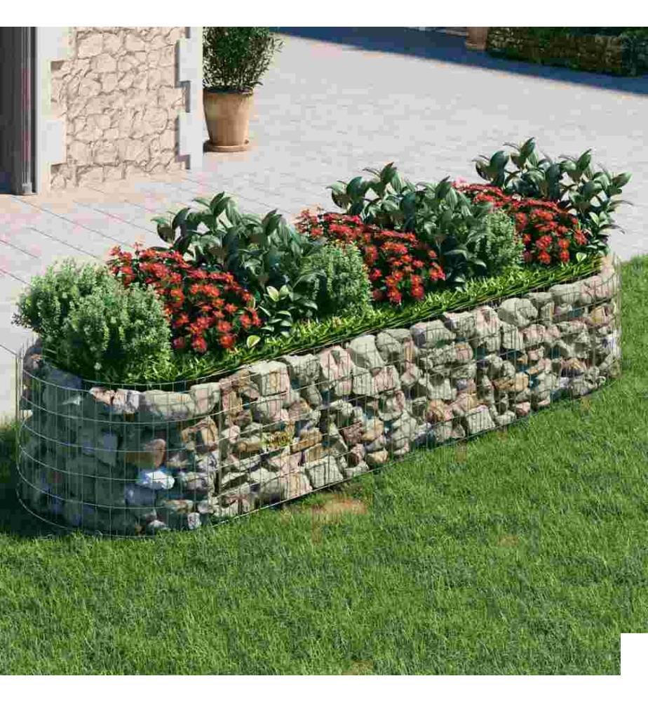 Lit surélevé à gabion Fer galvanisé 300x100x50 cm
