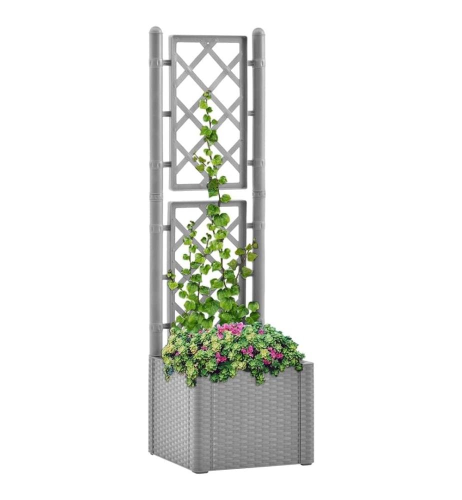 Lit surélevé de jardin et treillis et système d'arrosage Gris