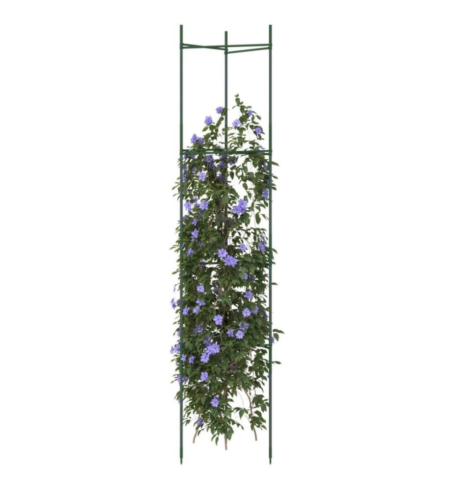 Cage à tomates 2 pcs 154 cm acier et PP