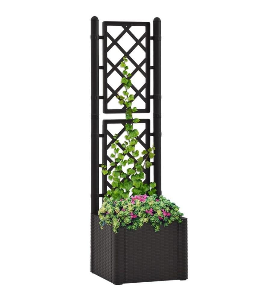 Lit surélevé de jardin treillis système d'arrosage Anthracite