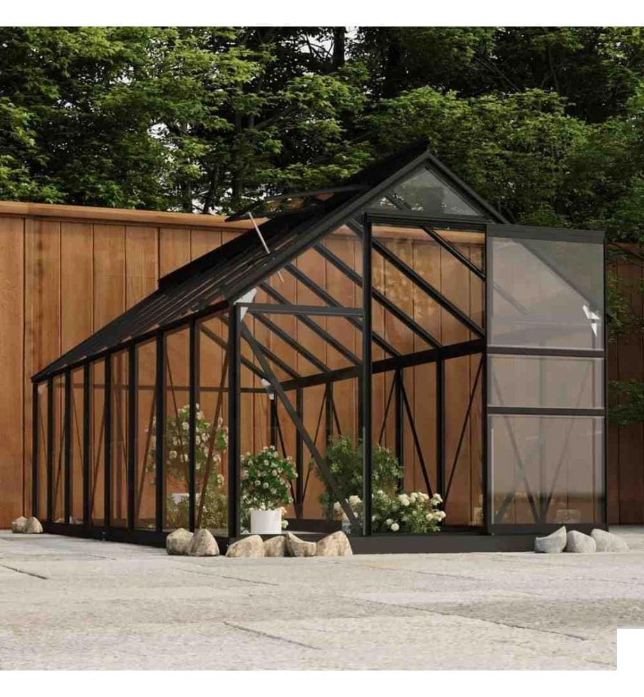 Serre en verre Anthracite 155x395,5x191 cm Aluminium