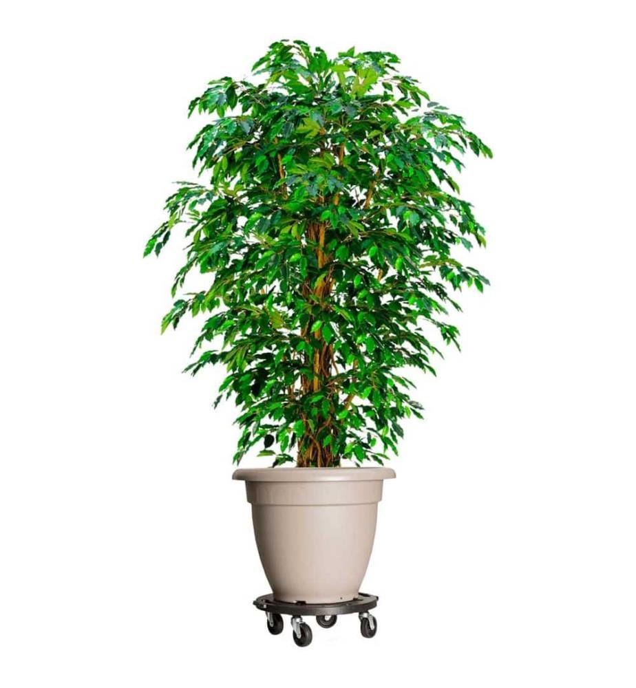 Chariots à plantes avec roues 3 pcs Diamètre 40 cm Noir 275 kg