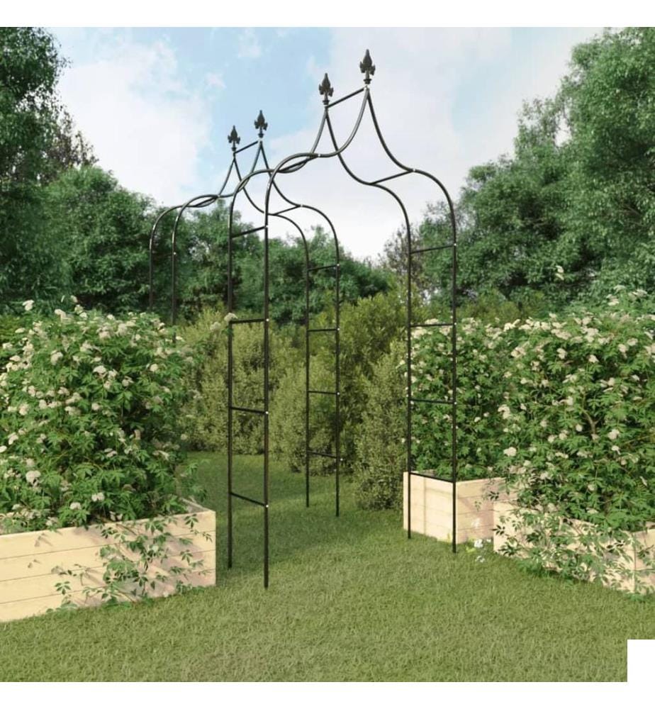 Arches de jardin 2 pcs Noir 120x38x260 cm Acier