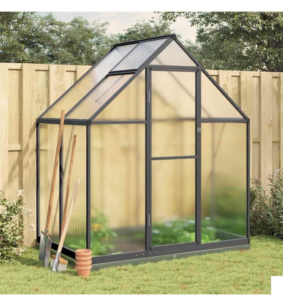 Serre avec cadre de base anthracite 169x114x202 cm aluminium