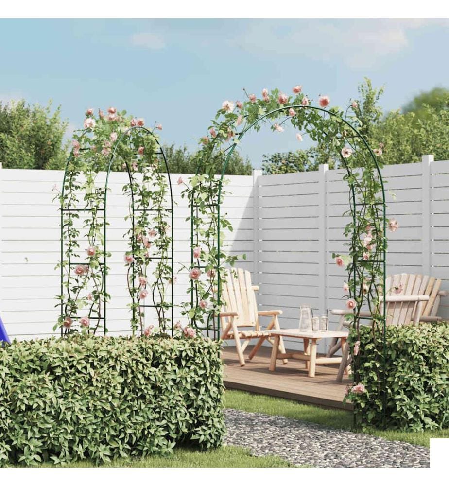 Arche de jardin 2 pcs pour plantes grimpantes