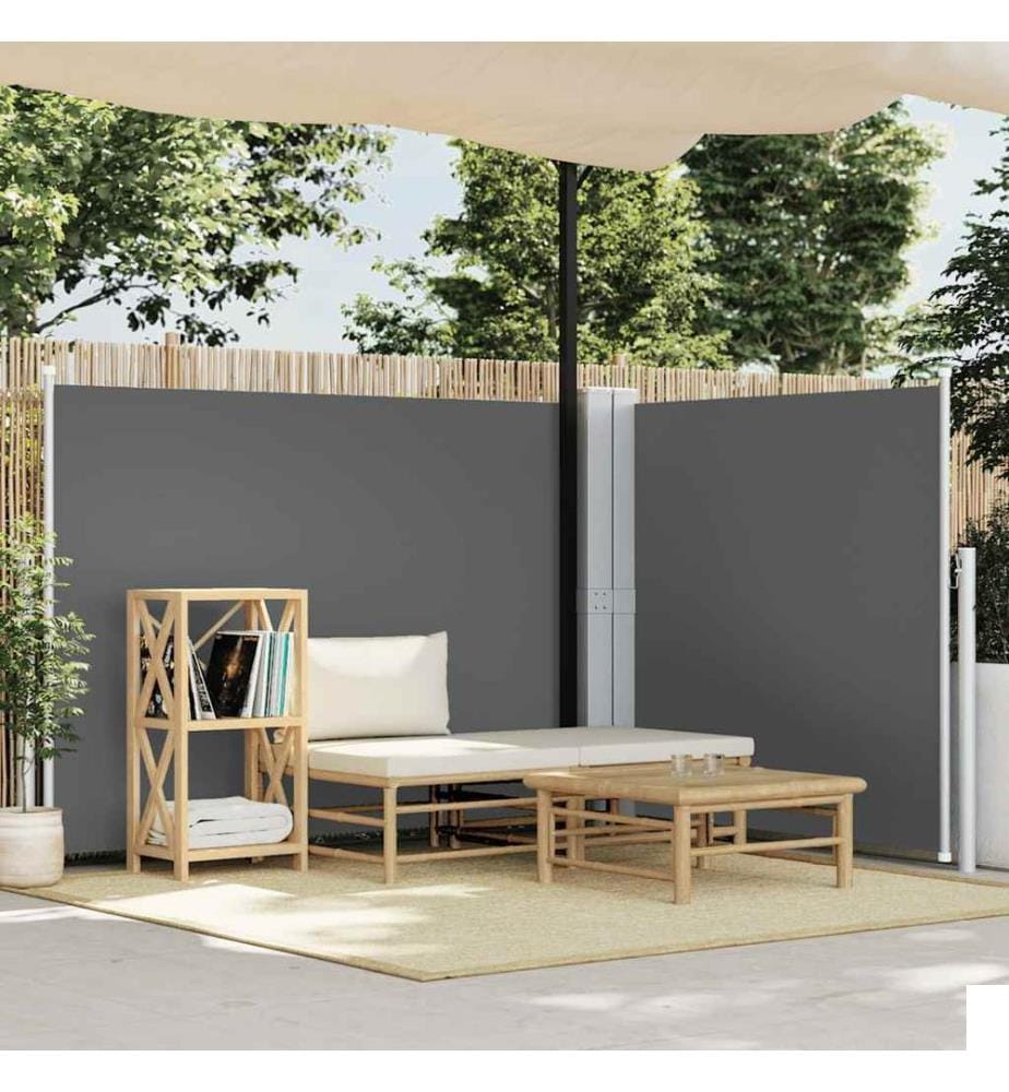Auvent latéral rétractable Anthracite 140 x 1000 cm